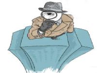 白山市取证公司解说第三者承担离婚赔偿责任吗